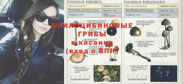 герыч Володарск