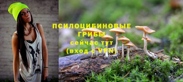тгк Волосово