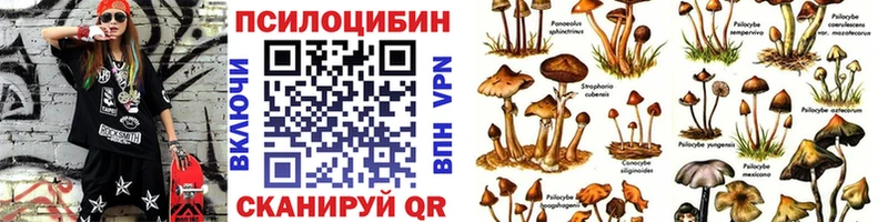 Галлюциногенные грибы Cubensis  Павловская 